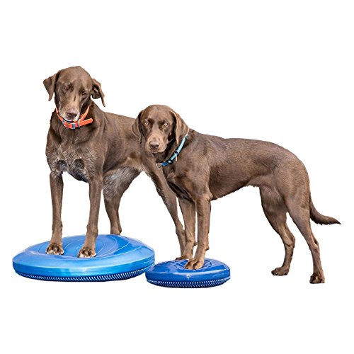 FitPAWS Canine Balance Disc