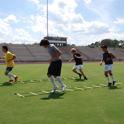 World Sport Agility Ladder Ladders