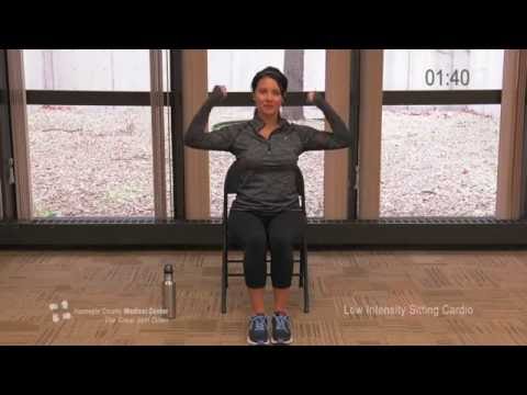 Low-Intensity Seated Cardio Work Out – The Great Slim Down