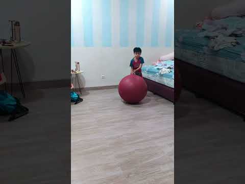 Finding Happiness in Balance Fun Filled Exercise Ball Training for Stability #shorts