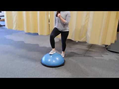 Bosu Ball Balance Series