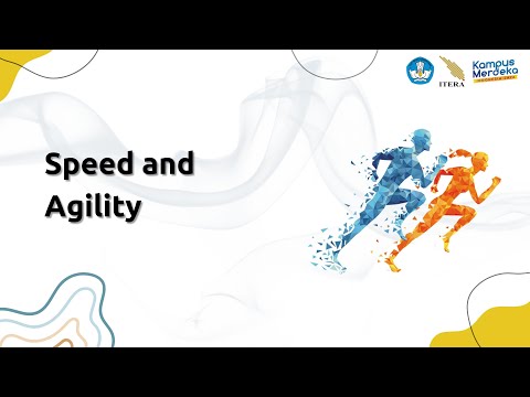 Speed and Agility Training