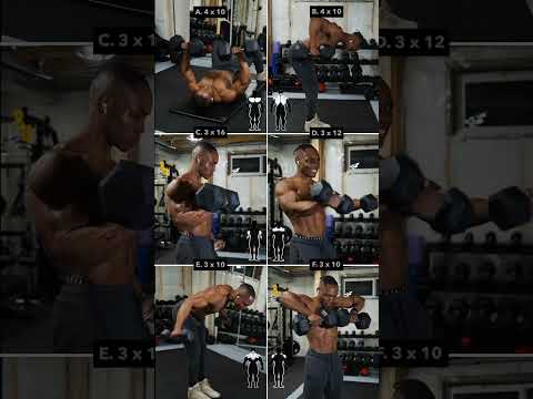 Dumbbell UPPERBODY Workout (No Bench) #1