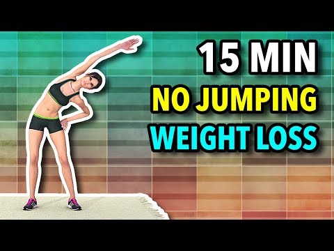 15 Min No Jumping Workout To Lose Weight At Home