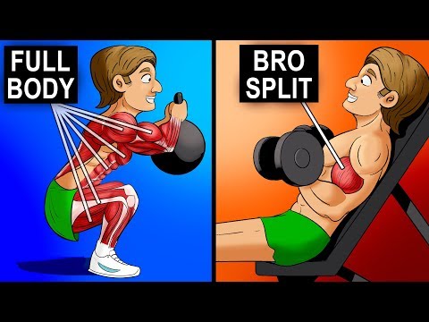 Full Body vs Split Training – Which is a Better Workout?